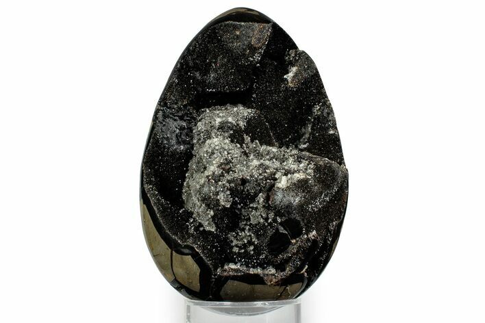 Septarian Dragon Egg Geode - Sparkly Black Crystals #348449